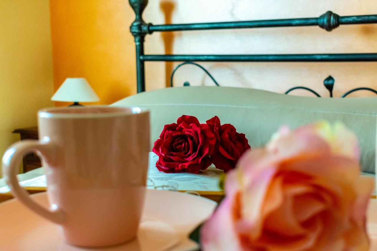 Bed and Breakfast La Casa Del Nonno Spoltore Zewnętrze zdjęcie